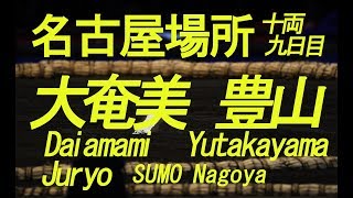 大奄美、豊山　十両　名古屋場所九日目2019　＃大相撲　＃名古屋場所　＃大奄美　＃豊山　＃sumo