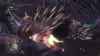 Monster Hunter World 雙刀 歷戰滅盡龍