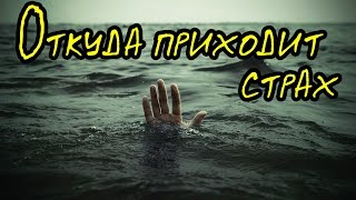 Откуда приходит страх (Страшная История)