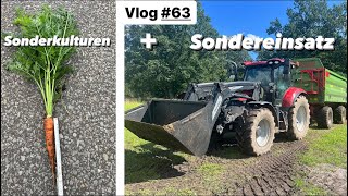 Keimt das stehende Getreide ? | Was macht die Karotte ? | AKF | Farmvlog #63