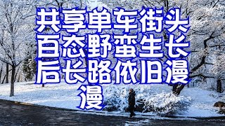 共享单车街头百态野蛮生长后长路依旧漫漫