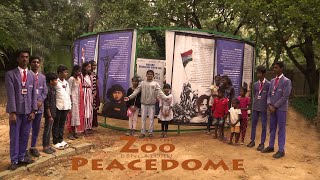 Peacedome at the Zoo