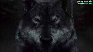 IF YOU FEEL ALONE  WATCH THIS LONE WOLF   THE ORIGINAL MOTIVATIONAL AUDIOS