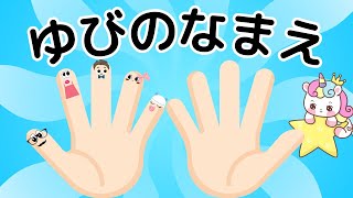 0歳・赤ちゃんから楽しめる読み聞かせ📖指の名前✨ ✏ゆびのなまえ⭐️こどもが楽しむ✨手の指｜子供の知育｜1歳｜２歳｜３歳｜４歳｜５歳｜幼稚園｜見て学ぶ