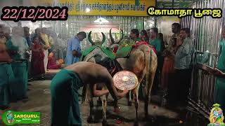 சற்குரு டிவி 22/12/2024 ஞாயிற்றுக்கிழமை கோமாதா பூஜை