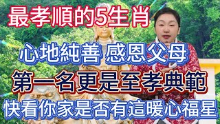 最孝順的5大生肖！心地純善！感恩父母！尤其第一名！更是至孝典範！堪稱孝順楷模！快看看你家是否有這暖心福星！#風水 #佛教 #生肖 #運勢 #2024