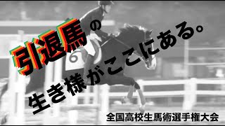 引退馬が高校生たちと青春を駆け抜ける。ここまで熱い大会が他にあるだろうか。