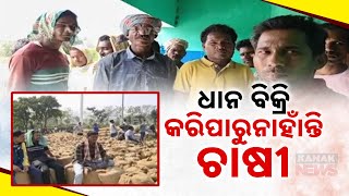 Farmers Struggle To Sell Paddy In Jaypatna: Issues With Markets And Millers In Kalahandi