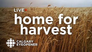 Home for Harvest: How farming and agriculture in southern Alberta is growing | Calgary Eyeopener