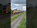 treinleven virm over de moerdijk bunker hsl grijzeneusvirm