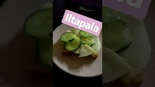 ✨iltapala✨