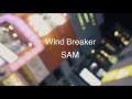 SAM / Wind Breaker [prod by Fooly&Cooly]