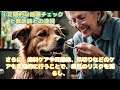 シニア犬が元気でいるために押さえたい習慣8選