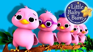 Five Little Birds Counting | Nursery Rhymes for Babies by LittleBabyBum - ABCs and 123s