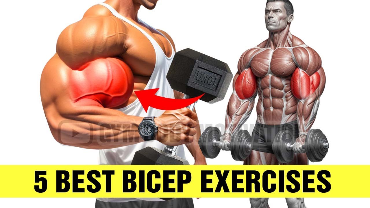 5 Most Effective Exercises For Bigger Biceps Youtube