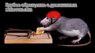 Крысоловка, мышеловка электрическая Electric Rat Trap OWLTRA, Электромышеловка