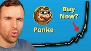 Why Ponkee is up 🤩 Crypto Token Analysis