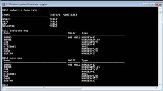 Day-2:Connect to Oracle Sql Plus and fetch Records (hindi)