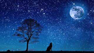 The best music for sleeping meditating relaxing  [ Piano and wolves sountrack] #Calm night#relaxing