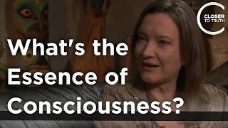 Deirdre Barrett - What's the Essence of Consciousness?