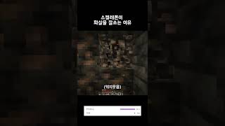 스켈레톤이 활을 잘 쏘는 이유 #유머 #마인크래프트 #세한씨