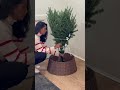 the viral home depot tree 🎄 worth every penny christmas christmastree christmasdecoration