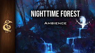 Night Time Forest | Nature Ambience | 1 Hour