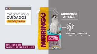 Conoce Mirringo Arena