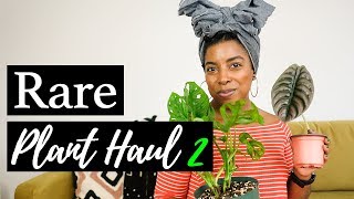 RARE PLANT UNBOXING and HAUL #2