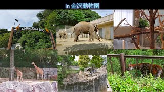 【Vlog】 In 金沢動物園