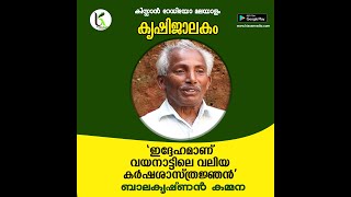 വയനാട്ടിലെ വലിയ കർഷ ശാസ്ത്രജ്ഞൻ  #BALAKRISHNAN KAMMANA PEPPER FARMER