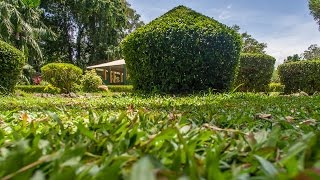 Henarathgoda Botanic Gardens, Gampaha | Sri Lanka | GoPlaces