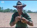 finding food water in the tanami desert 🤠🗺️ bush tucker man s1 ep3 abc australia