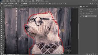 【photoshop】_069_锐化_【百集教程】0基础入门级，通俗易懂，2023最新版，学完即就业！拿走不谢，学不会我退出photoshop！