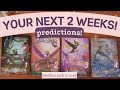 The NEXT 2 Weeks! What's coming? Predictions! ✨🔮🌞 | PICK A CARD Timeless Tarot Reading