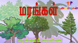 மரங்கள் பெயர்கள் | Learn Trees Name in Tamil | Tamil Learning for Preschoolers, Kids \u0026 Children