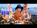 在法国赶海，1亿年前的螃蟹长这样，清蒸味道鲜甜 | 趕海 | 海鲜 | 螃蟹 | 法国 | 农村 | 美食 |