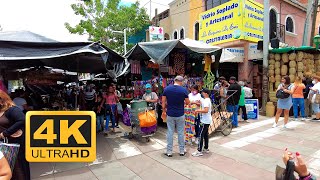 【4K60】Tonalá Tianguis Artesanal Walking Tour