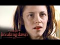 'Bella's First Taste of Blood' Scene | The Twilight Saga: Breaking Dawn - Part 1