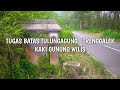 Tugu Perbatasan Tulungagung - Trenggalek via Kaki Gunung Wilis