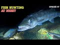 NIGHT SPEARFISHING EPISODE 97 | FISH HUNTING AT NIGHT