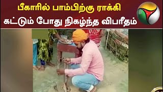 பீகாரில் பாம்பிற்கு ராக்கி கட்டும் போது நிகழ்ந்த விபரீதம் | Snake | Racky | Bihar