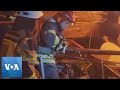 Kitten Rescued from Under Rubble in Kharkiv