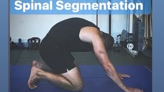 Kinstretch Clips: Spinal Segmentation