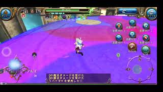 【トーラム】トリアグルズ 拳盾でやってみた