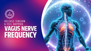 Feel the Benefits of Vagus Nerve Frequency | Release Tension & Feel Happier | 741 Hz