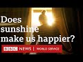 Is the 'sunshine cure' a real thing? - CrowdScience, BBC World Service podcast