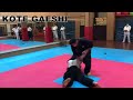 aiki karate do self defense techniques random techniques