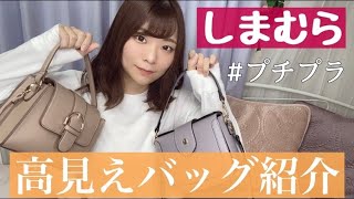 【しまむら】プチプラなのに高見えするかばん！