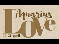 💛#aquarius 14-21 April 2024 #tarot #tarotindonesia #ramalantarot #ramalanzodiak #tarotreading #love